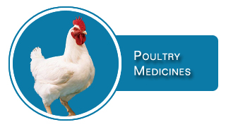 Poultry  Medicines
